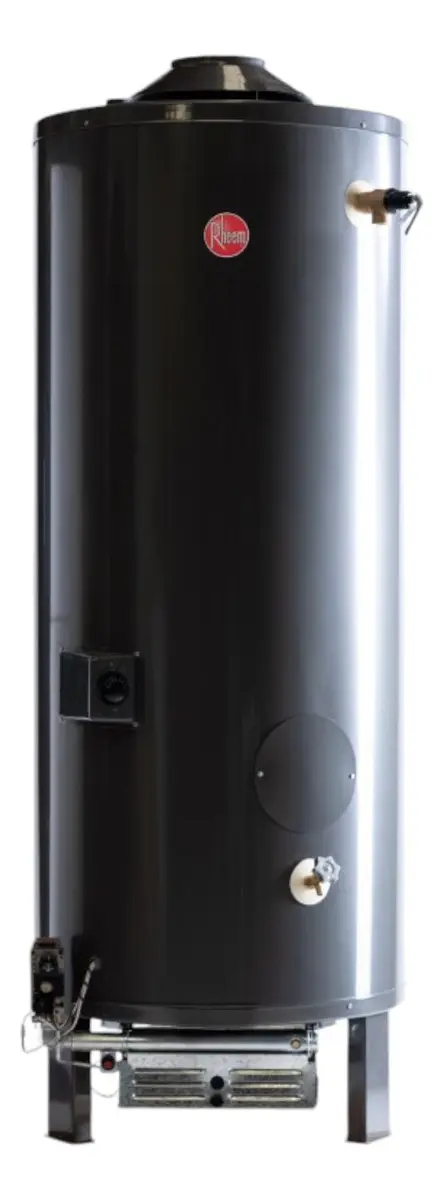 Termotanque A Gas Natural Rheem Profesional Rhctp300n Negro 300l