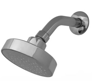 Flor de Ducha Redonda de 4" con Caño Curvo Peirano A1448C